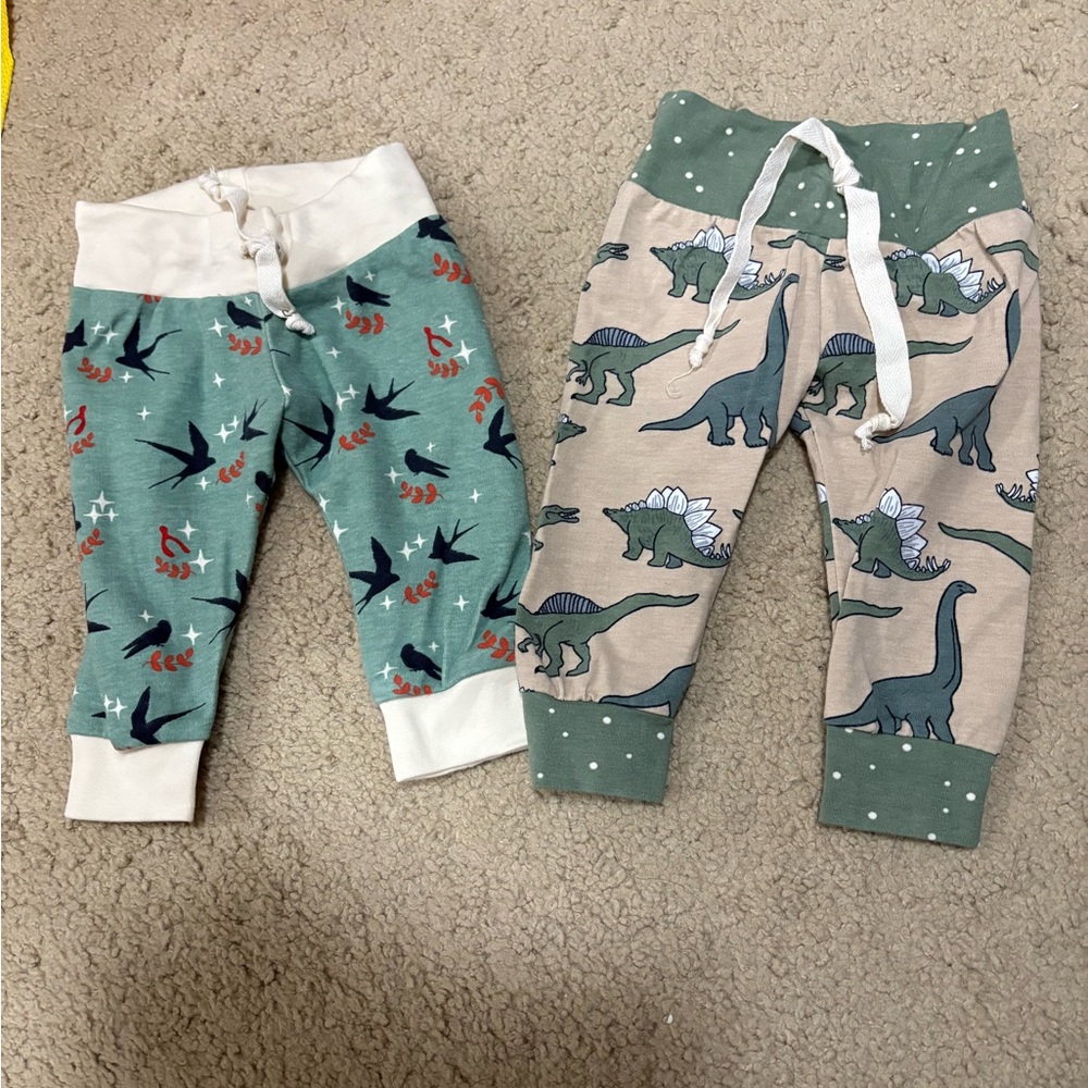 Dinosaur and Bird Print Baby Pants Set